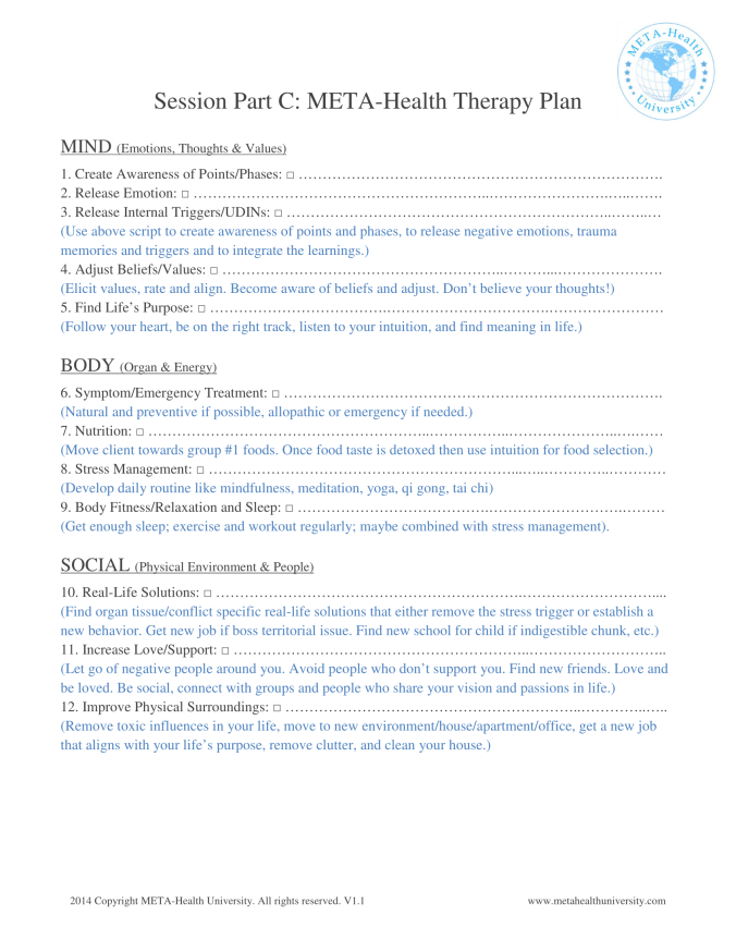 Meta-Health Lifestyle Prescription